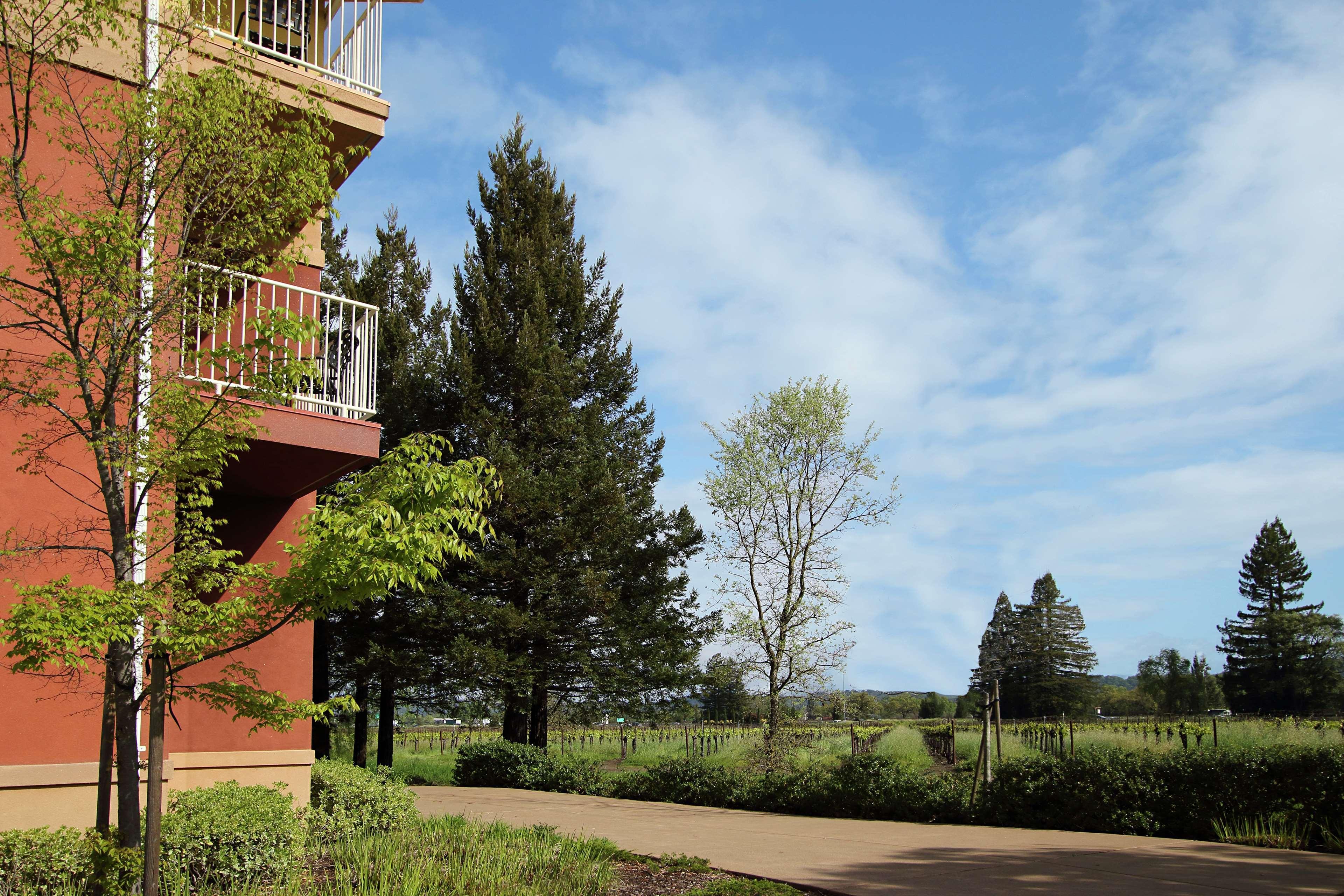 Hilton Garden Inn Sonoma County Airport Santa Rosa Exteriér fotografie